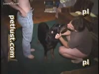 Men play with dog rod